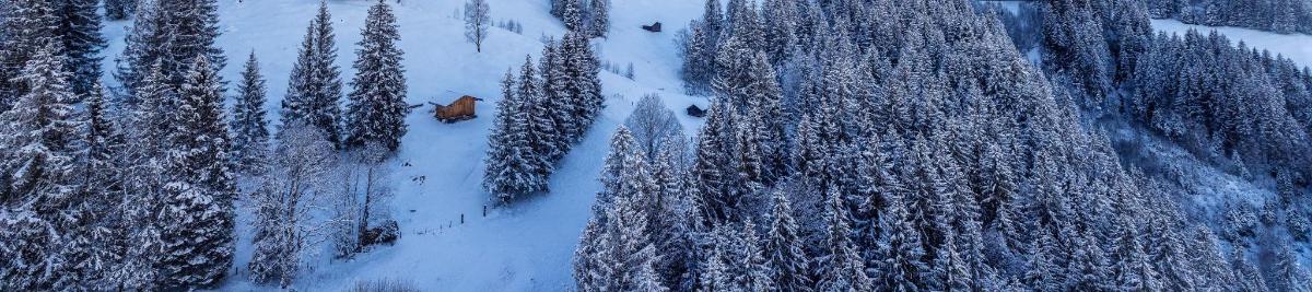 an aerial view of a snow covered forest with trees