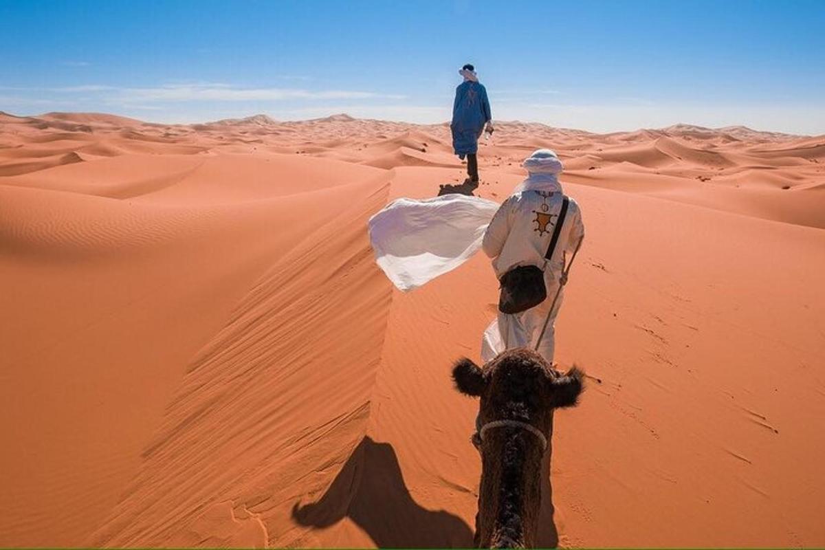 a man and a camel in the desert