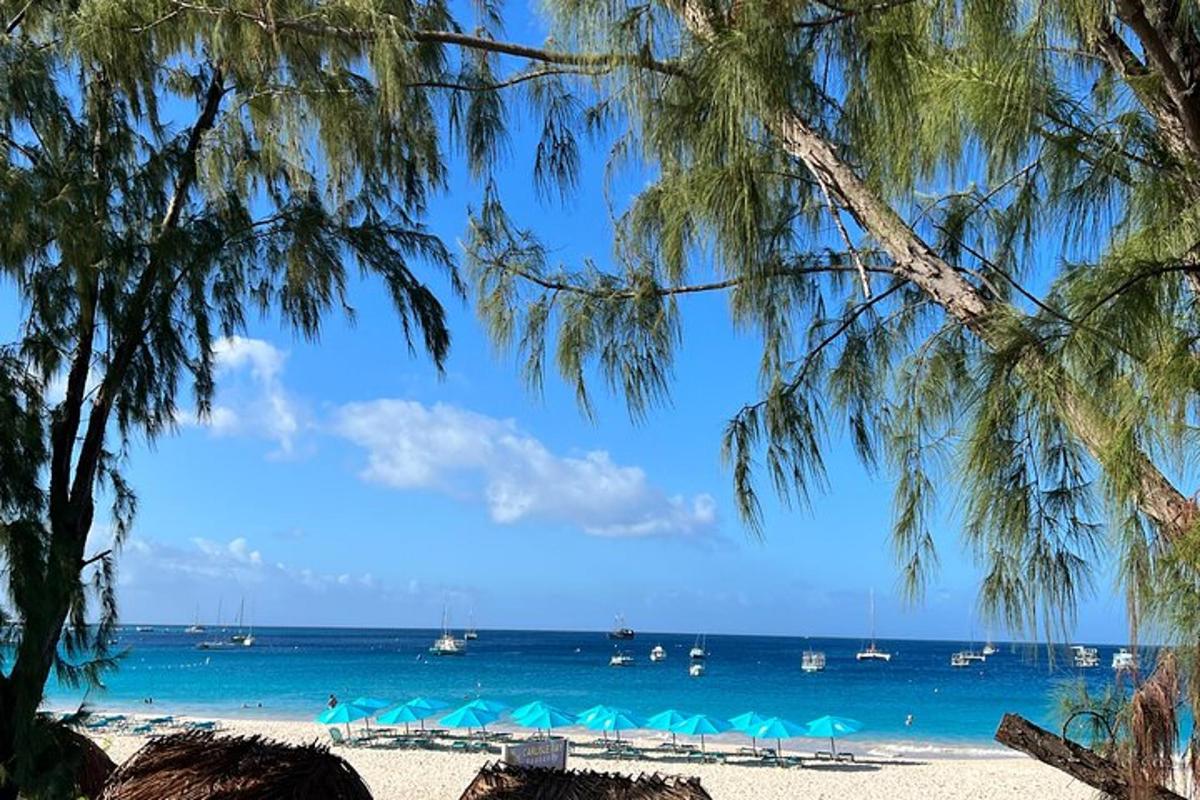 a view of a beach with boats in the water