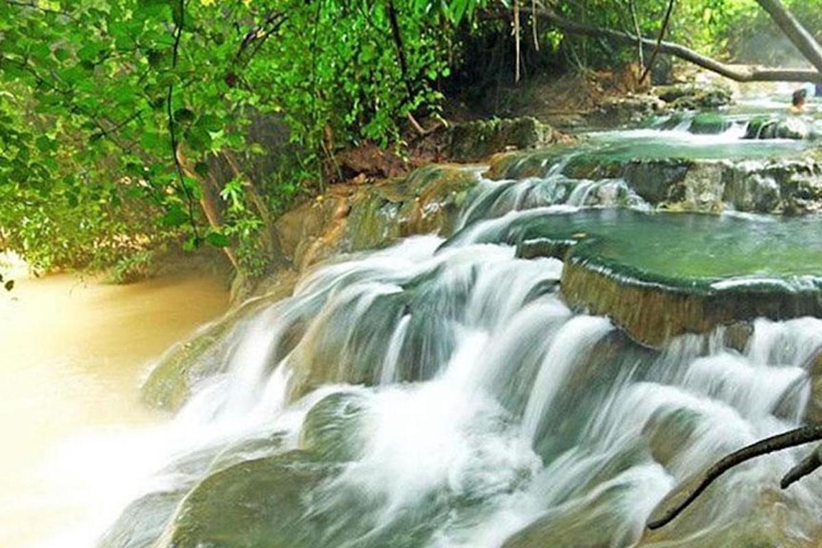 satu siri jeram di sungai dengan pokok