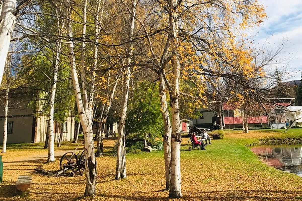 puuderühm pargis tiigi kõrval