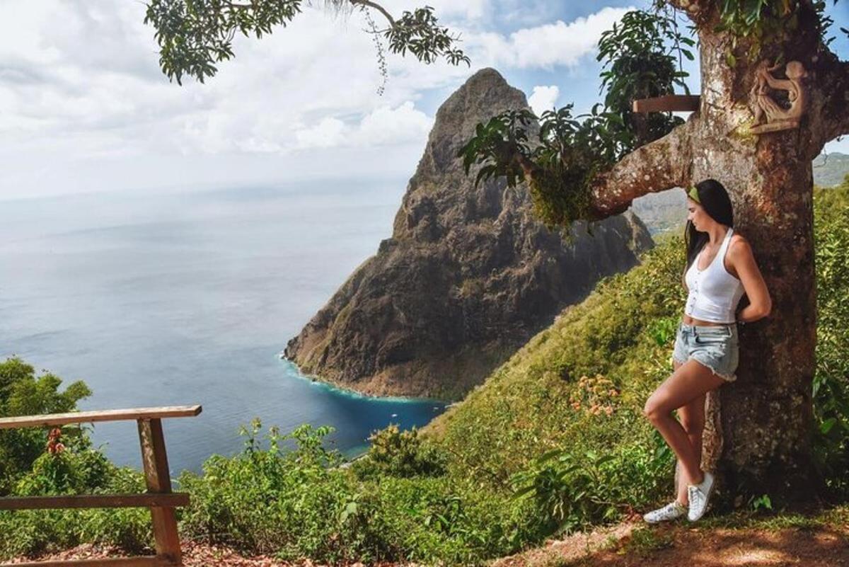 a woman standing next to a tree next to the ocean