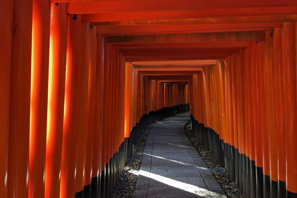 koridor pintu torii berwarna jingga di sebuah kuil