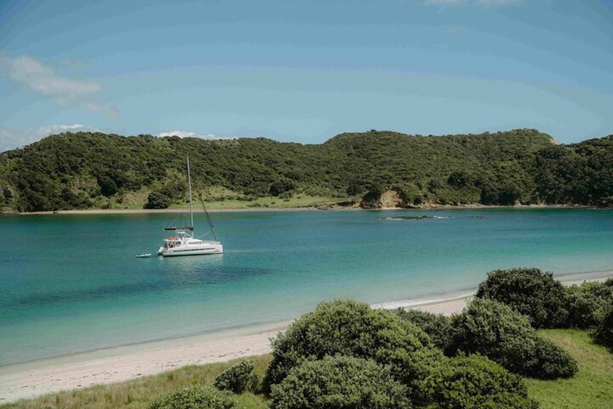 a boat sitting in the water on a beach
