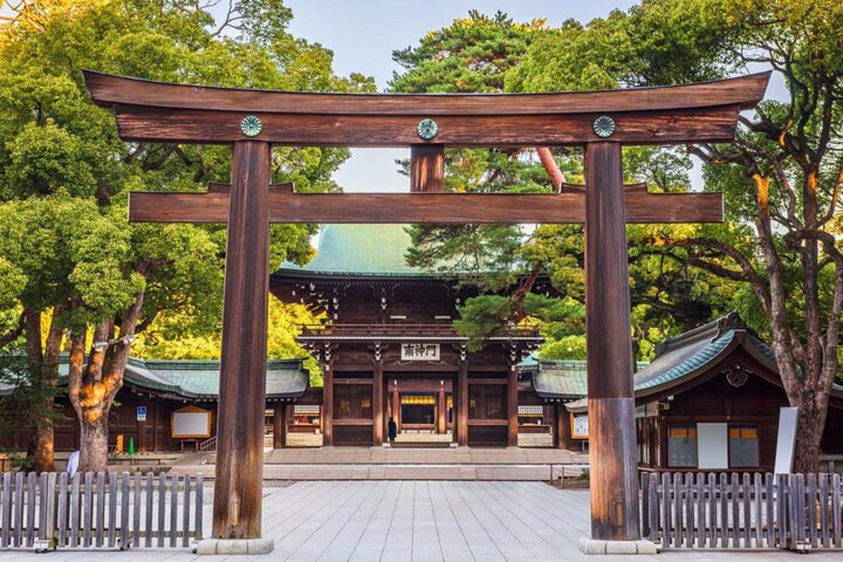 vrata torii pred stavbo