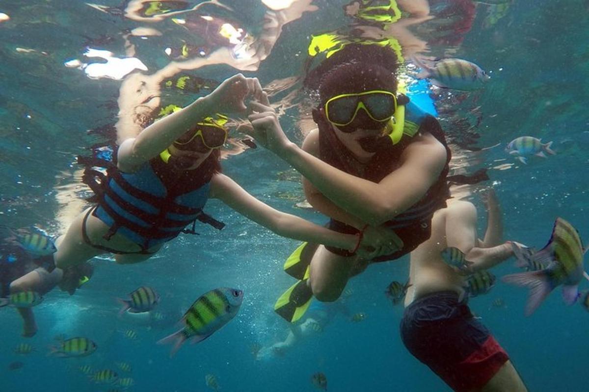 sekumpulan orang di dalam air dengan ikan