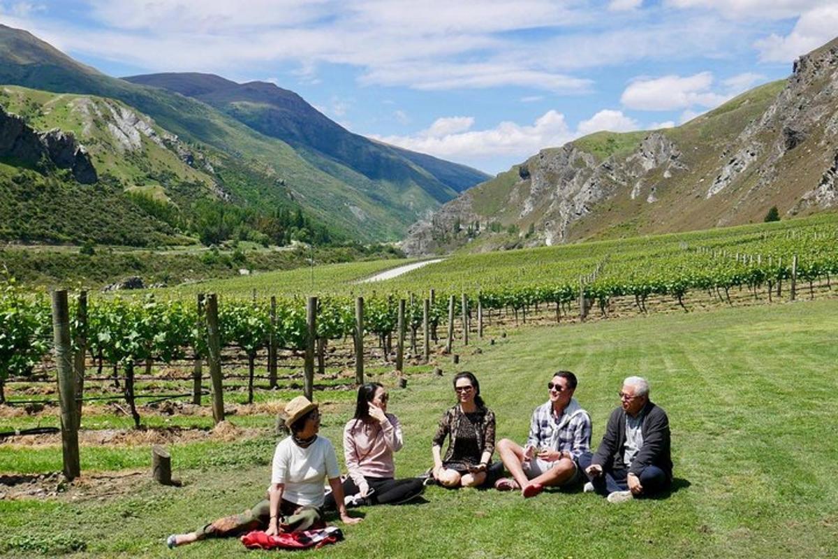 un grup de persones assegudes a l'herba prop d'una vinya