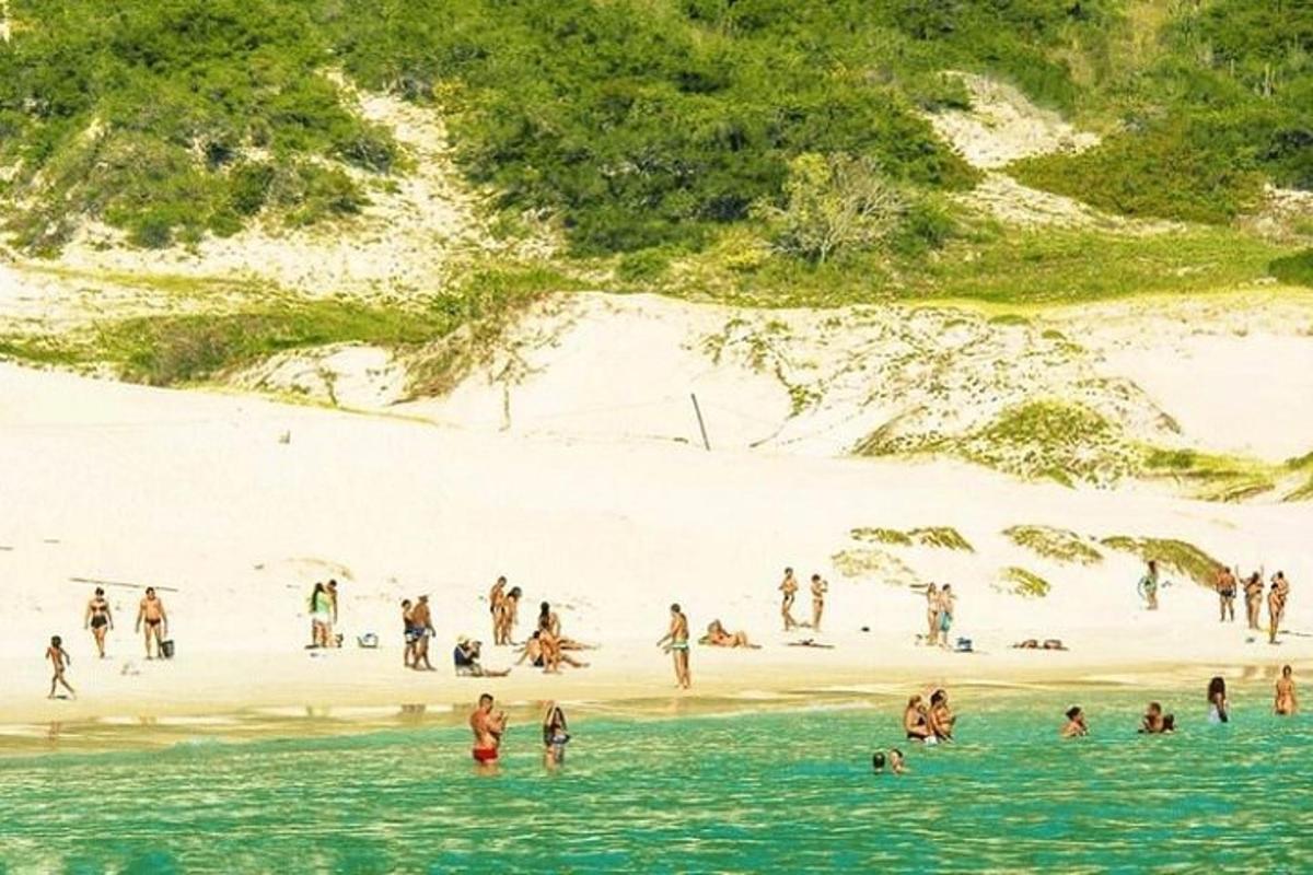 skupina ljudi v vodi na plaži