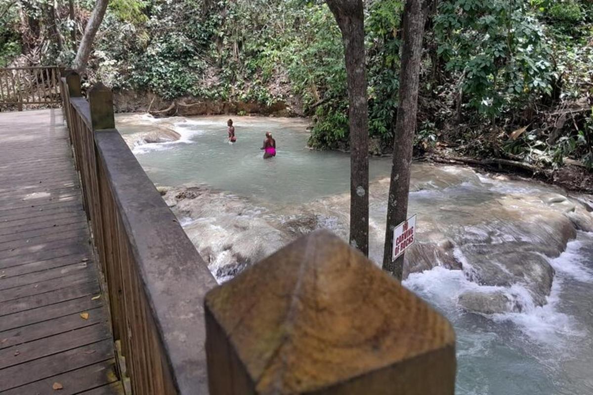 due persone stanno nuotando in un fiume nel bosco