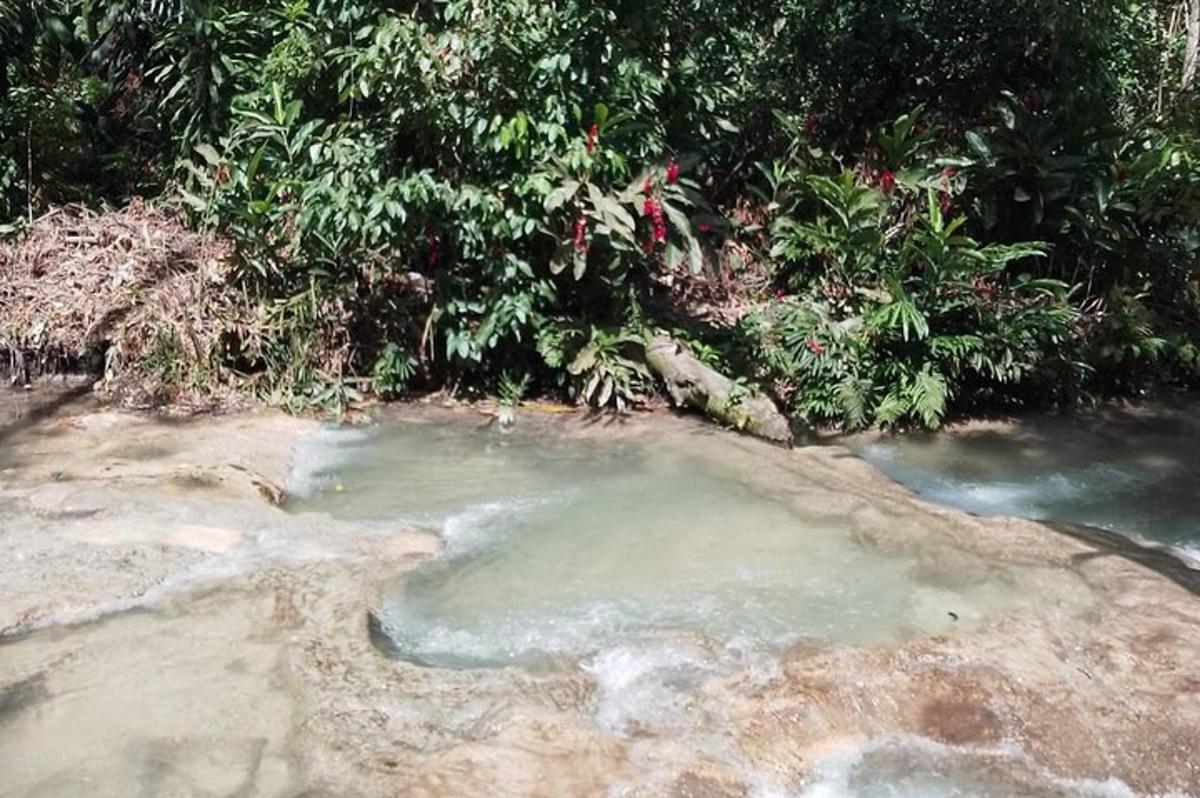 Una piscina de agua caliente en el suelo con árboles.