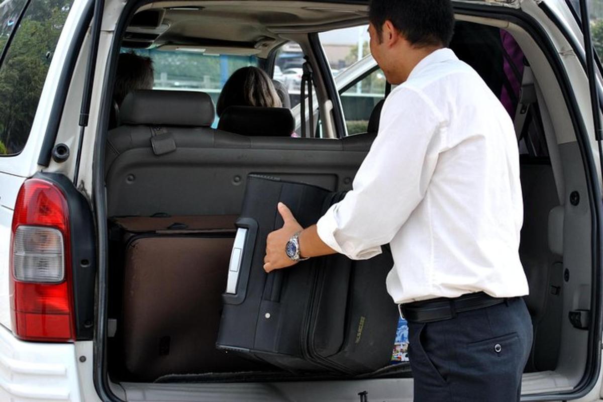 a man loading luggage into the back of a van