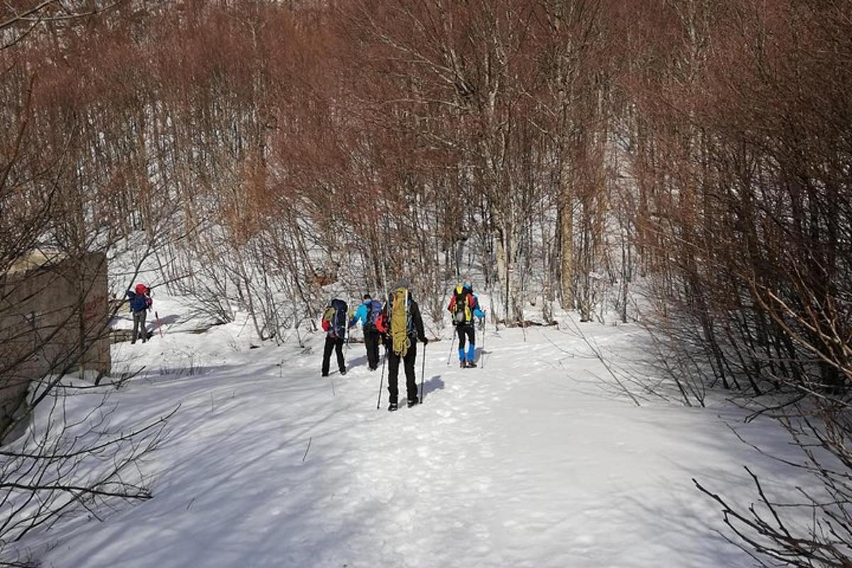sekumpulan orang bermain ski merentas desa di salji
