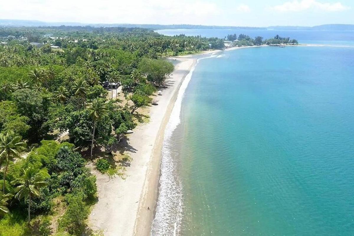 an aerial view of a beach with trees and water