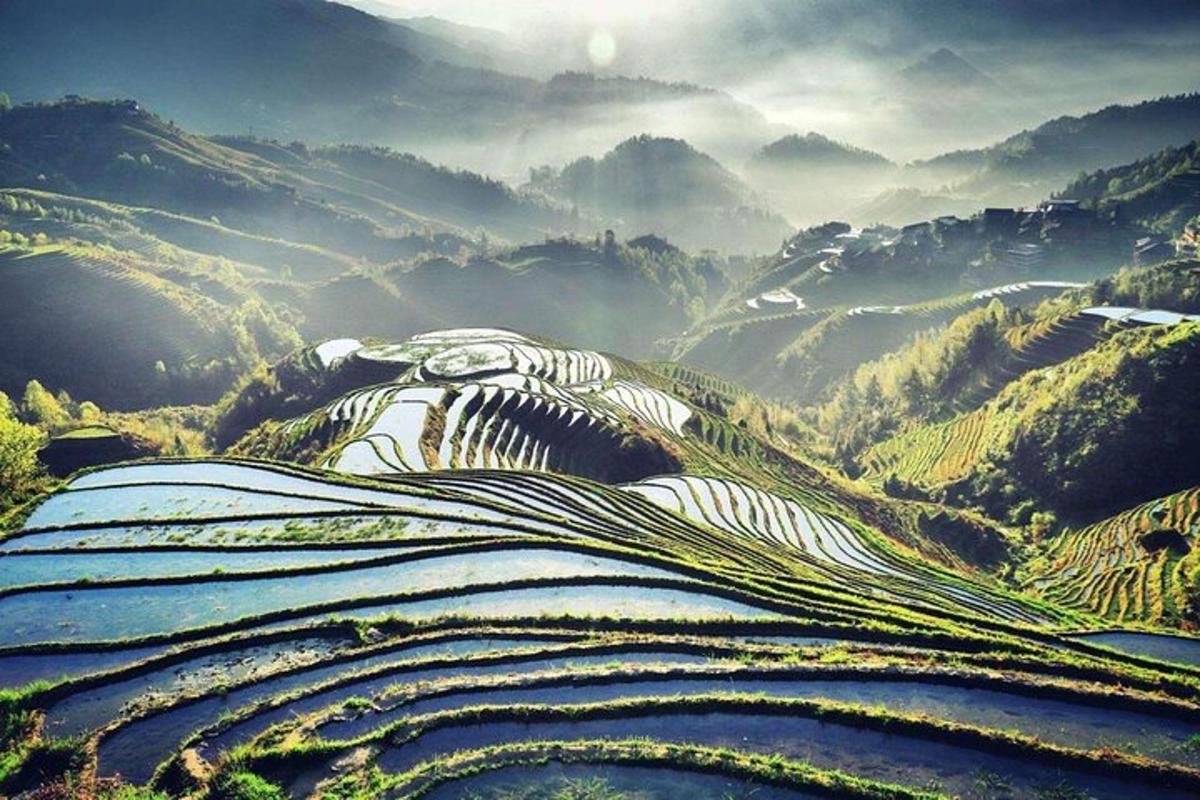 a view of a mountain with rice terraces