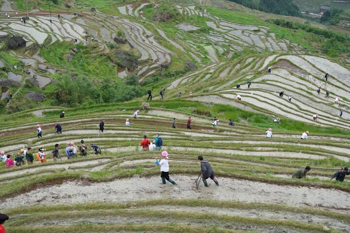 一群人在山上行走