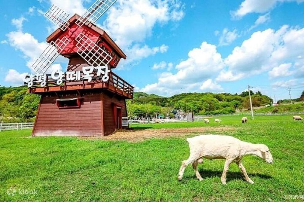 투어 액티비티 사진 2번