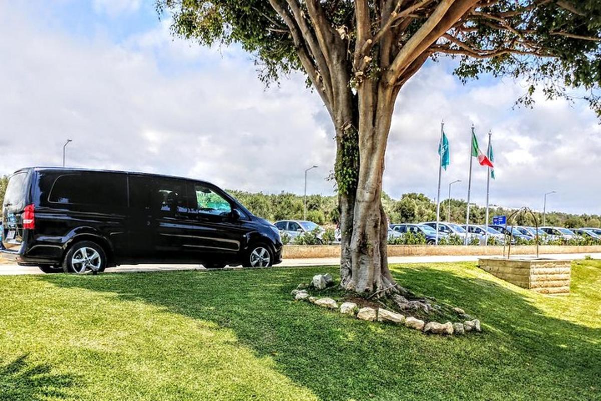 a black van parked next to a tree with flags
