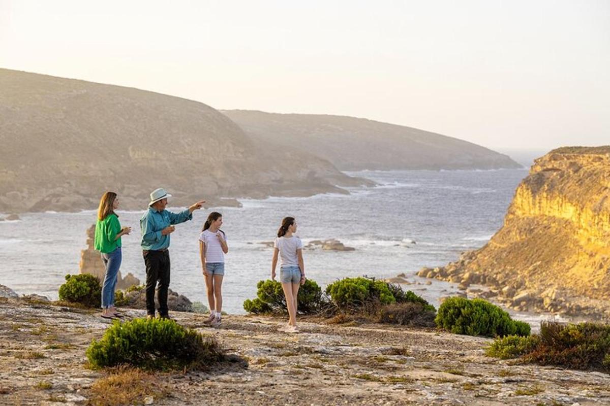 a group of people standing on a beach looking at the ocean