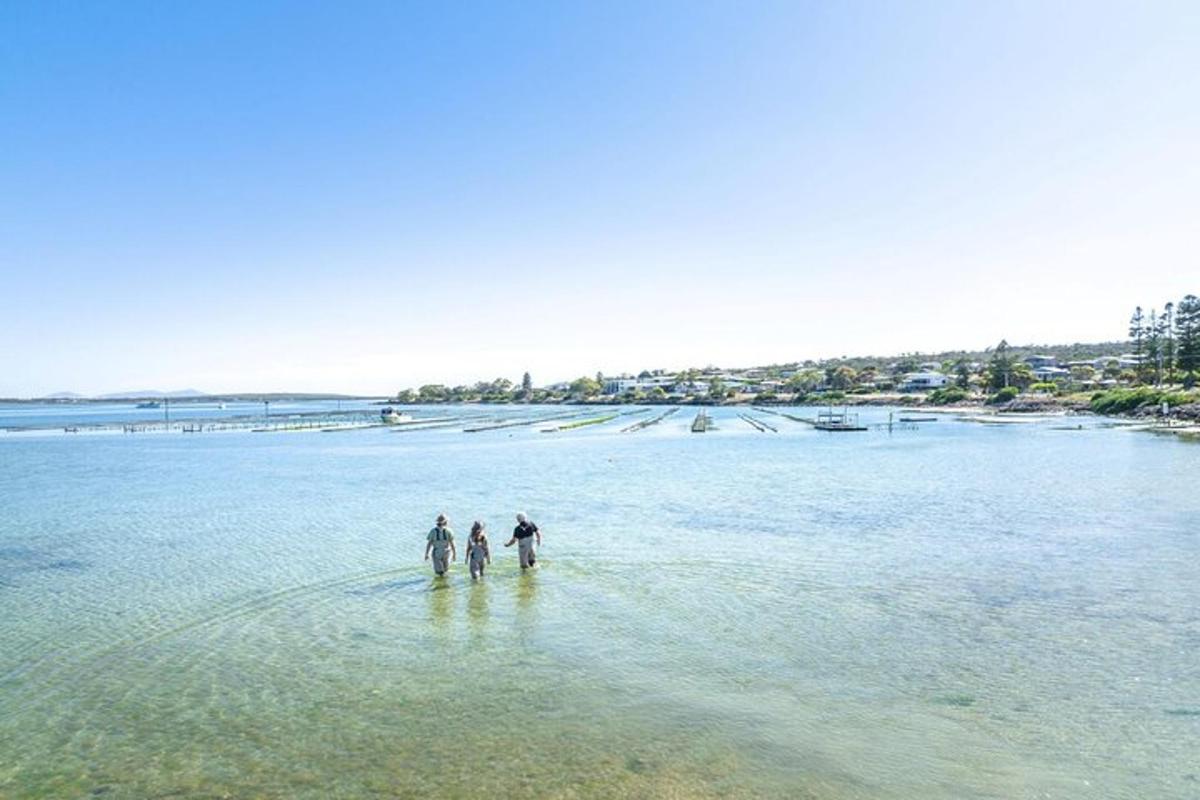 three people standing in the water on a beach