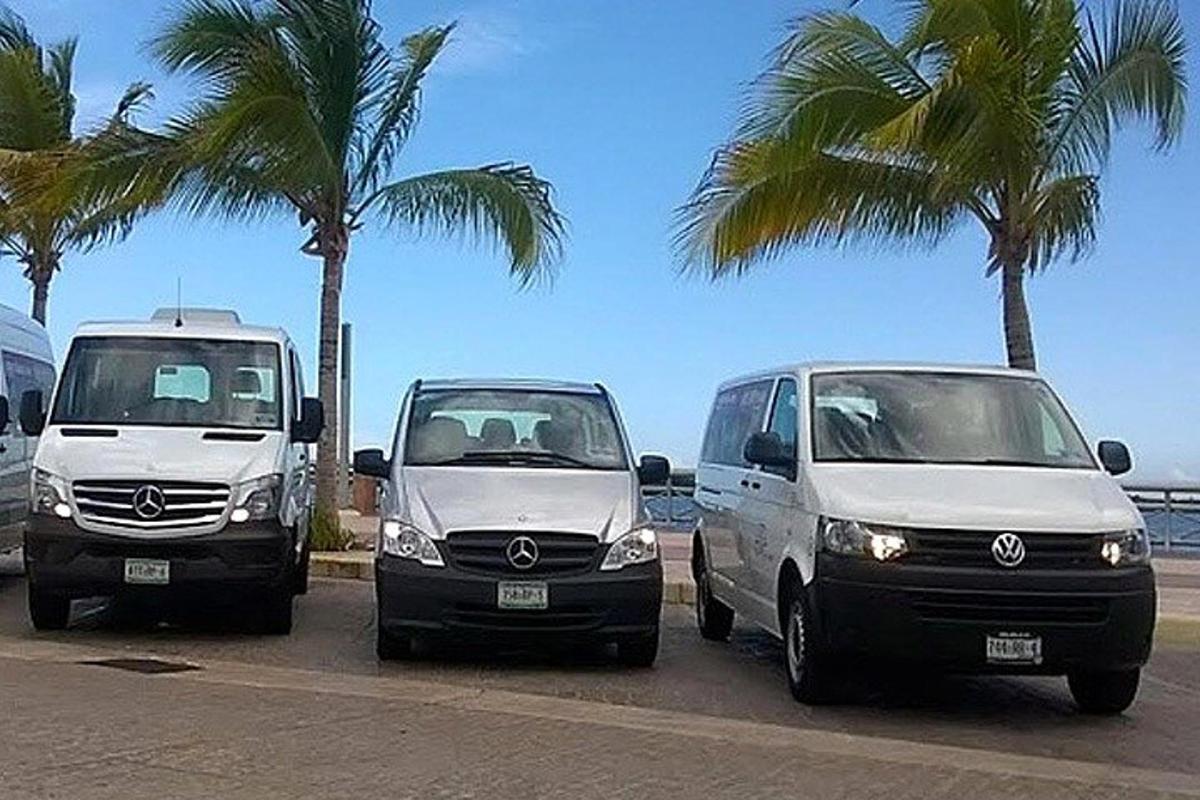 two white vans parked in a parking lot with palm trees