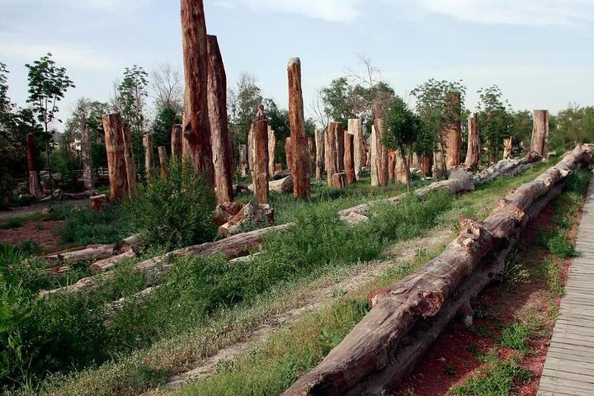 a long line of trees and logs in a field