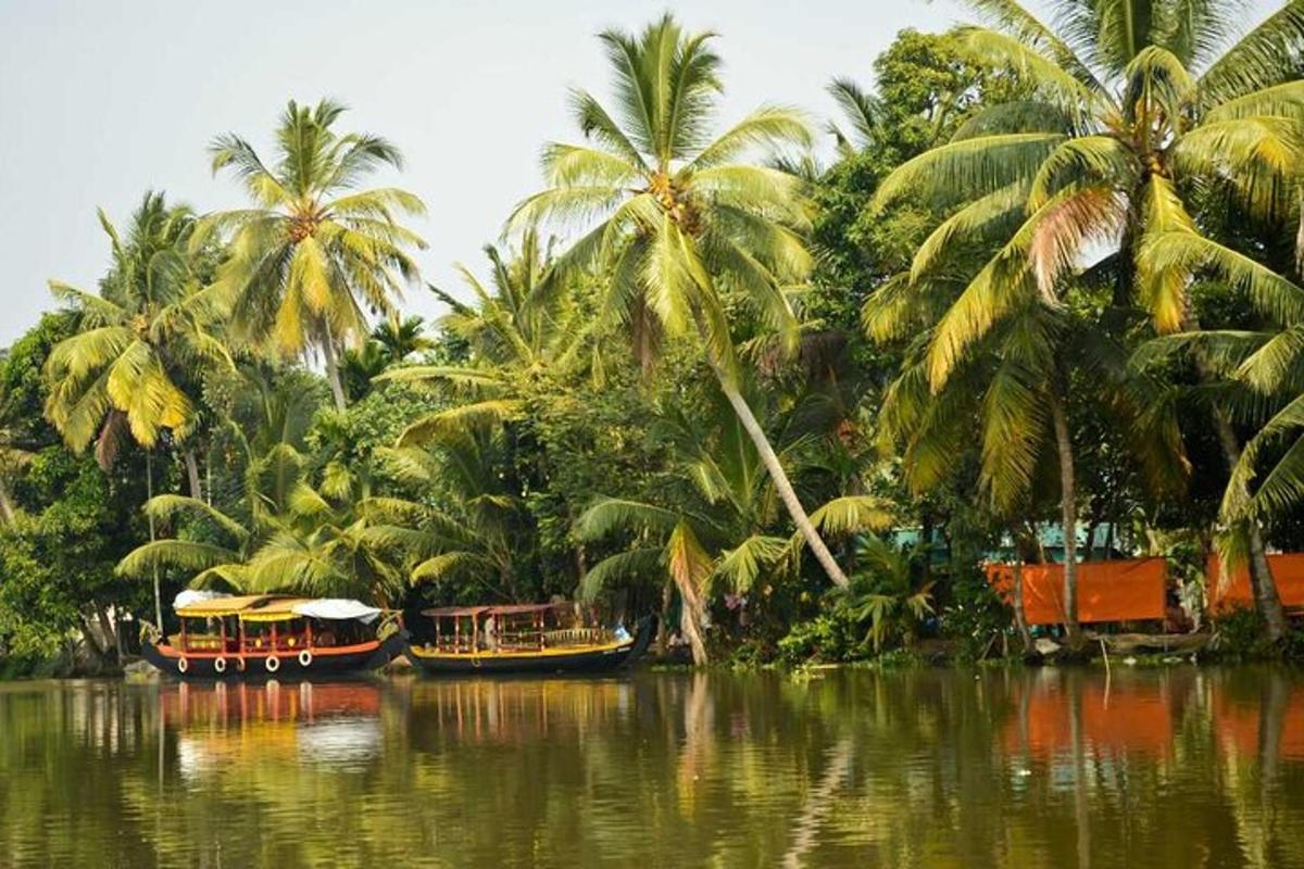 two boats on a river in front of palm trees