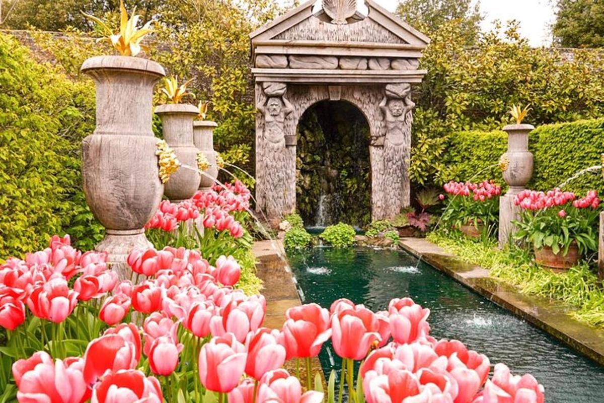 un giardino con una fontana, fiori e uno stagno