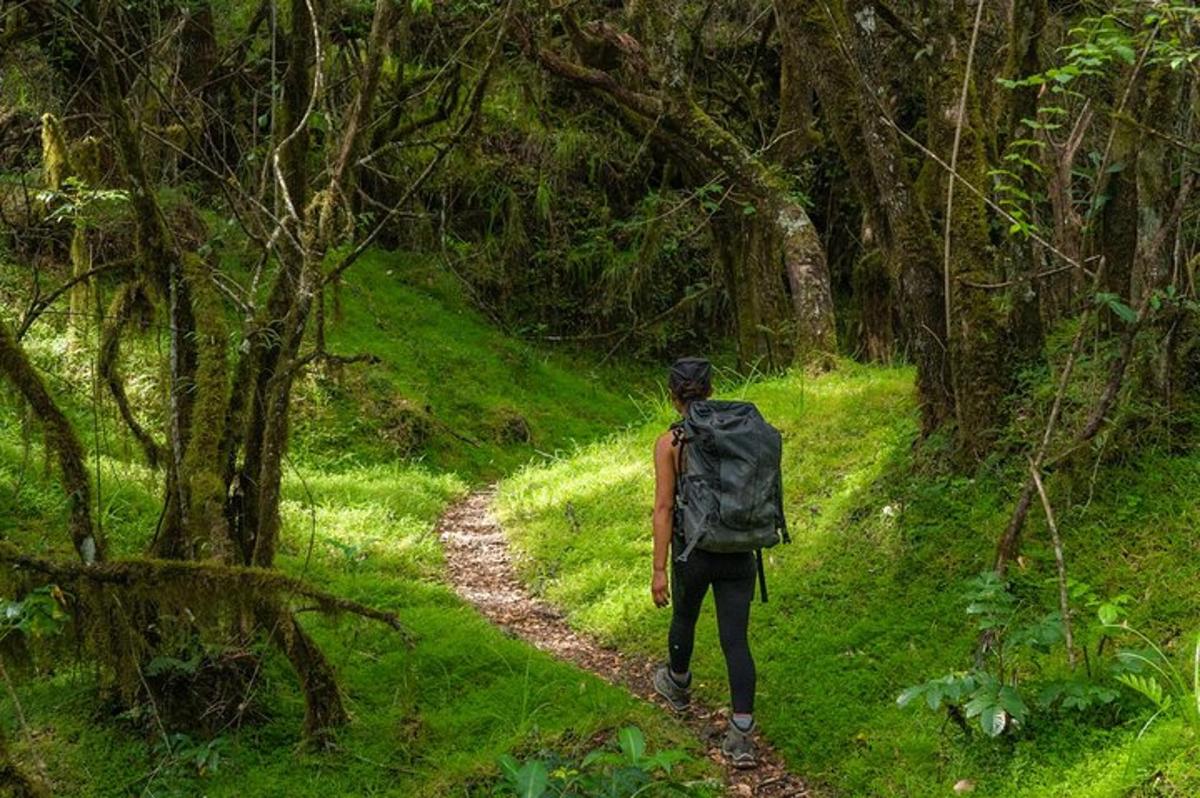 Un hombre con una mochila caminando por un sendero