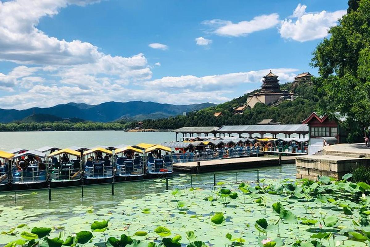 a group of boats in a lake with lilies