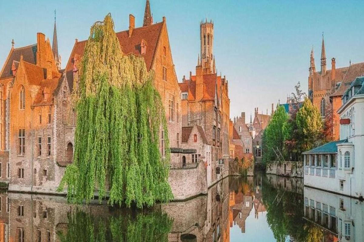 un canale in una città con edifici e un albero