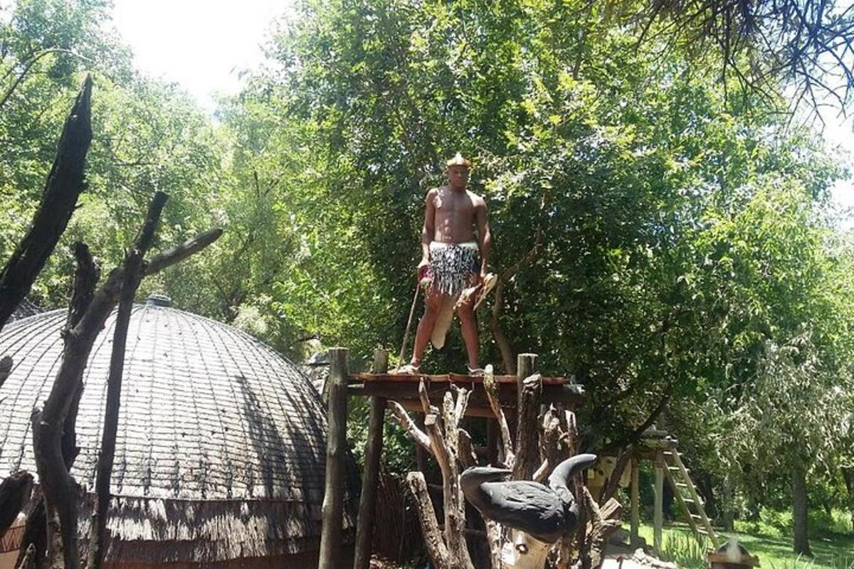 un uomo in piedi in cima a un elefante