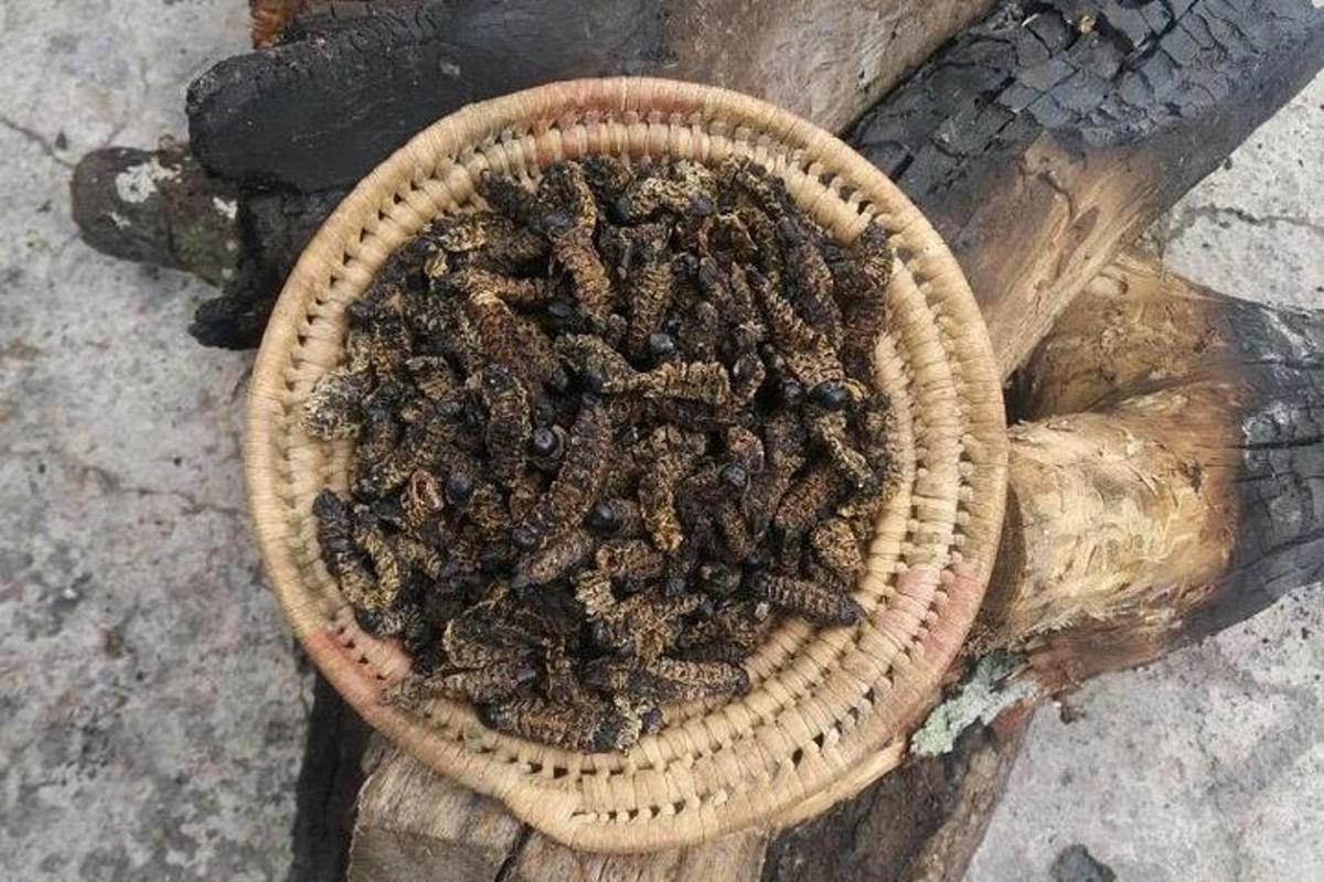 un cesto pieno di api sedute su un tronco