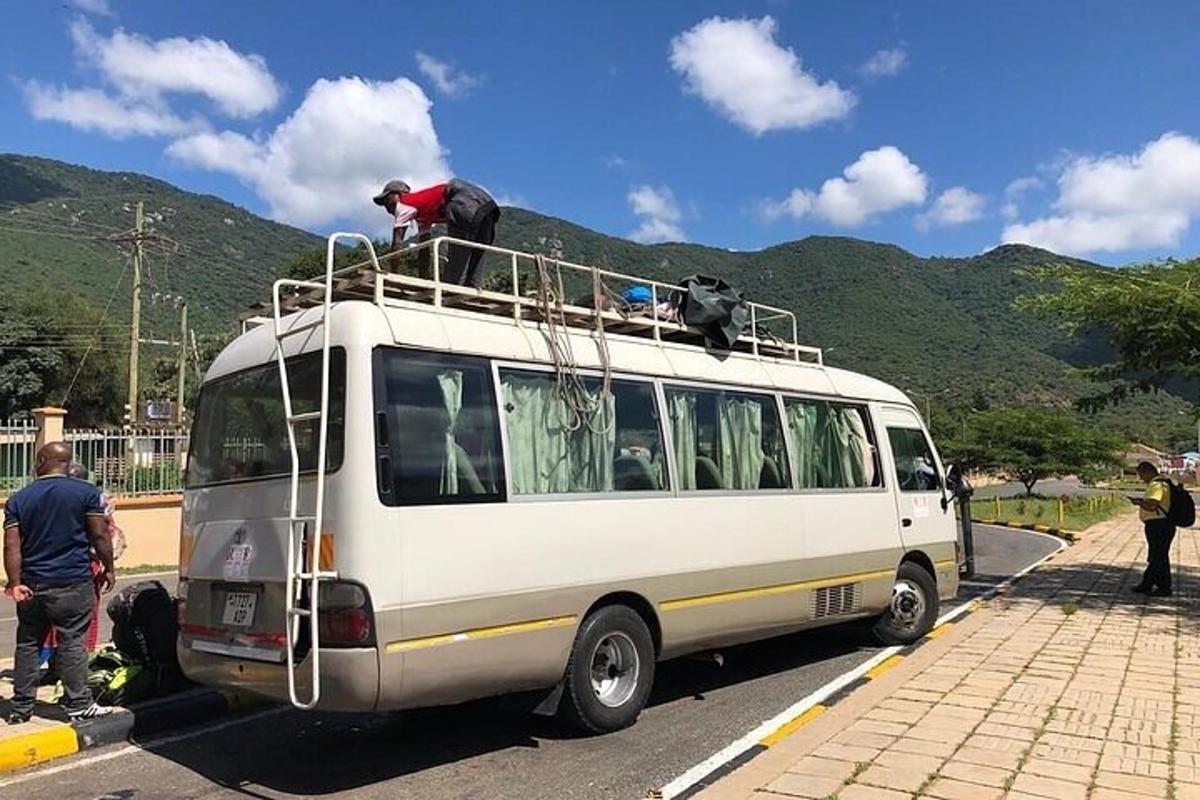 een witte bestelwagen met twee honden erop
