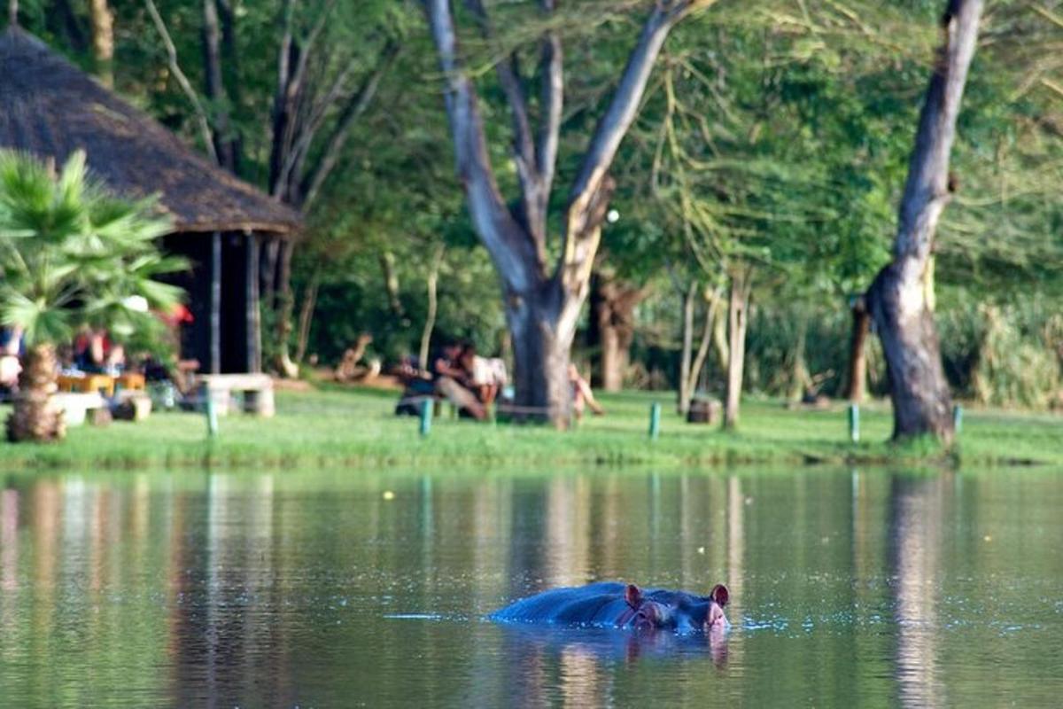osoba plavající ve vodní ploše