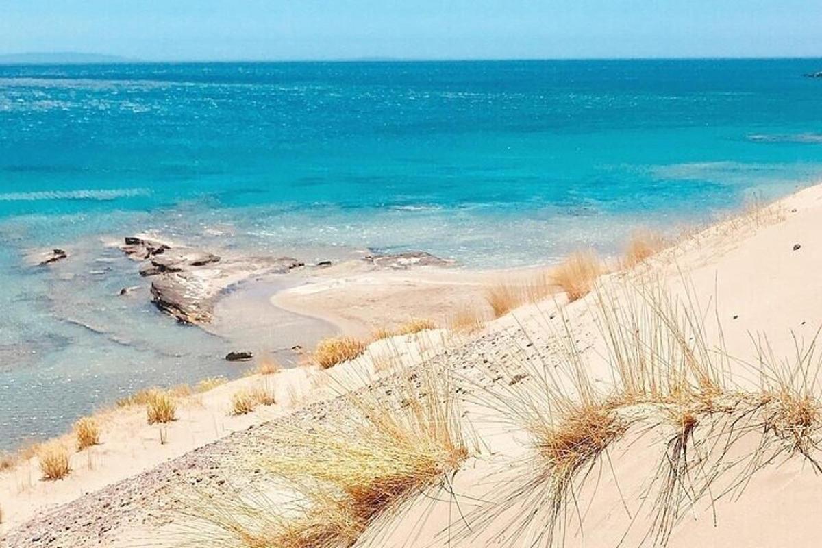 a sandy beach with the ocean in the background