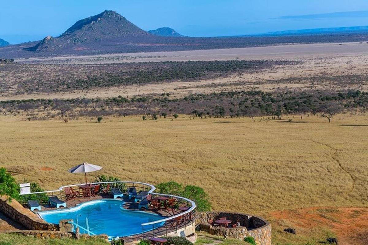 a pool in the middle of a field with a mountain