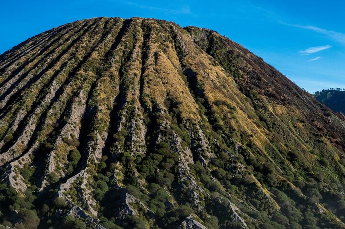 an aerial view of a mountain with trees on it