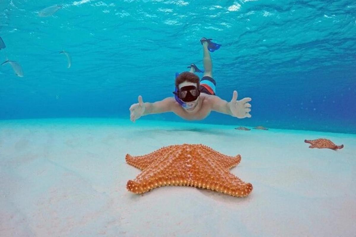 ヒトデの隣で海を泳ぐ人