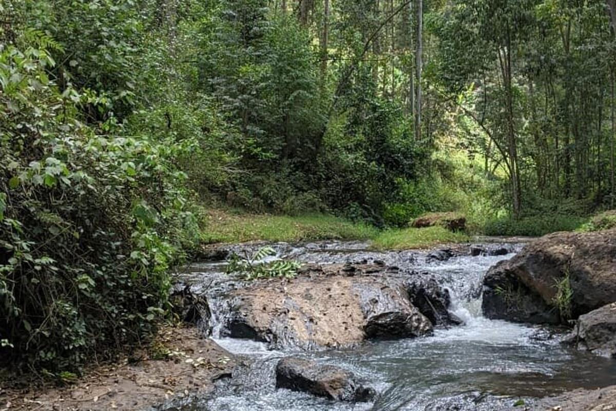 поток воде усред шуме