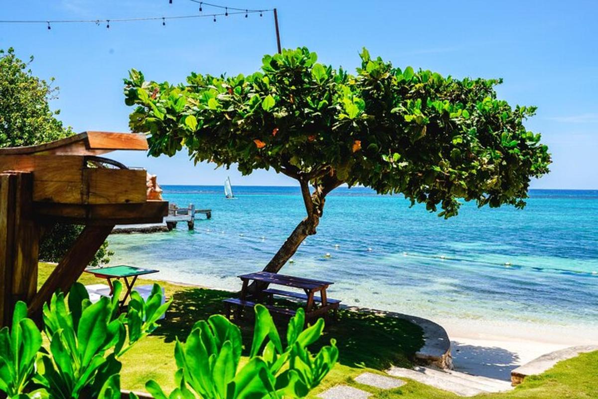 una panchina seduta accanto a un albero sulla spiaggia