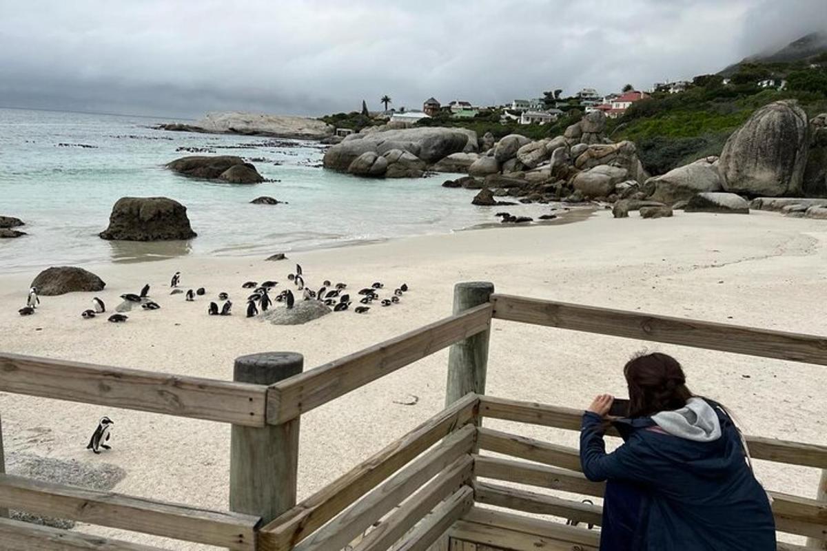 una donna che scatta una foto di uccelli su una spiaggia