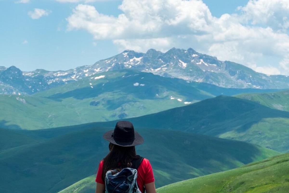 una donna in piedi su una collina che guarda una montagna