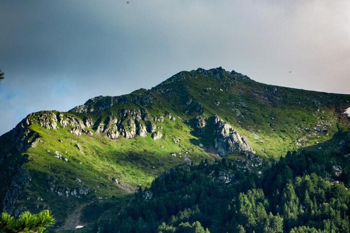 una montagna con erba verde e alberi su di essa