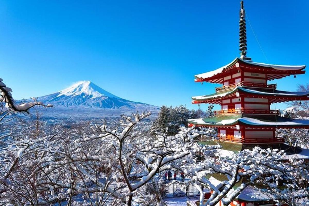 a pagoda in the snow with a mountain in the background