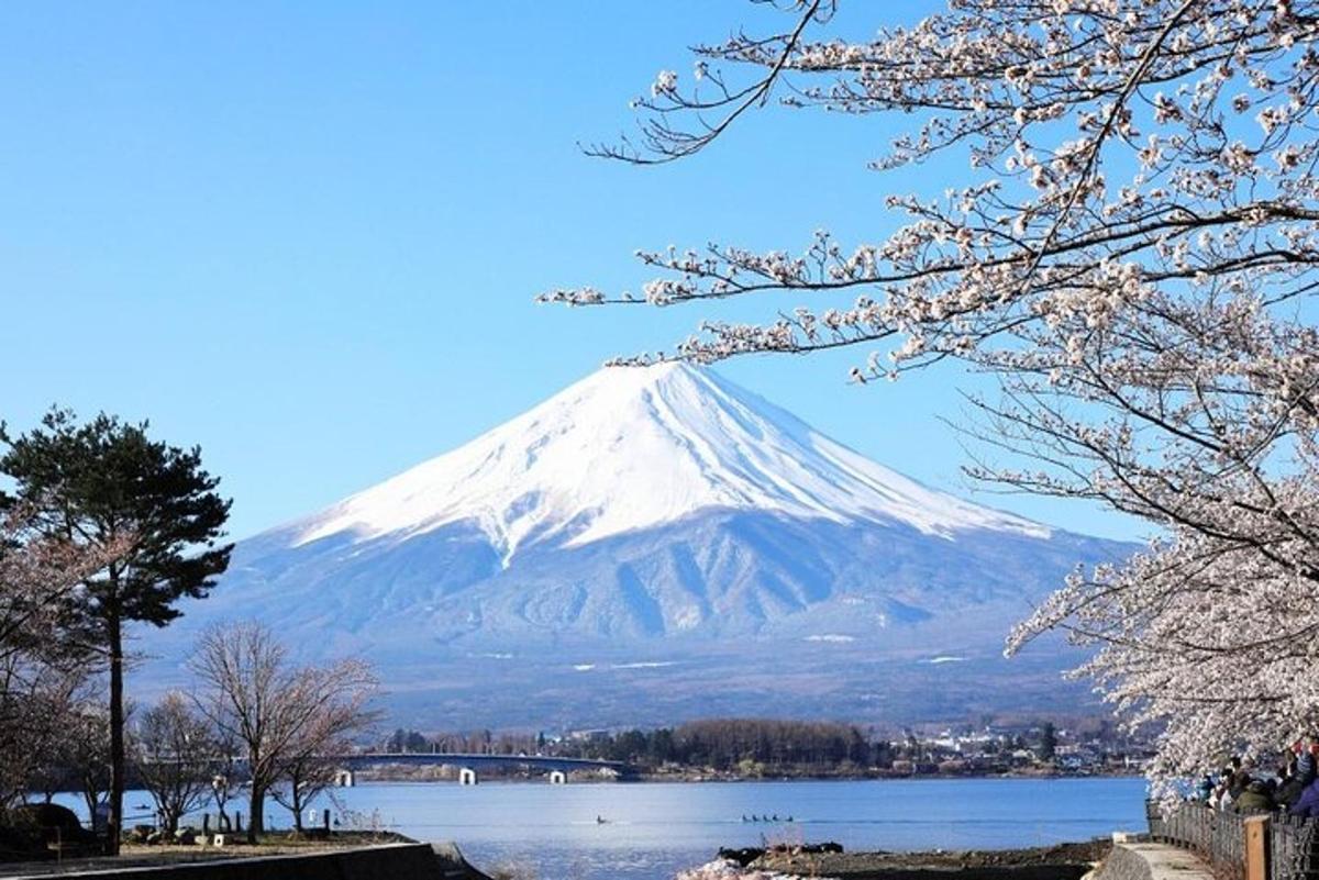 a snow covered mountain with a body of water and trees