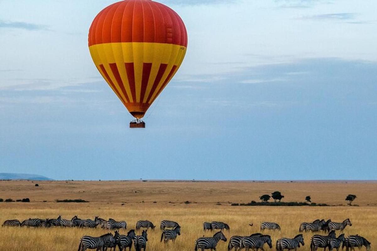 en varmluftballon, der flyver over en flok zebraer