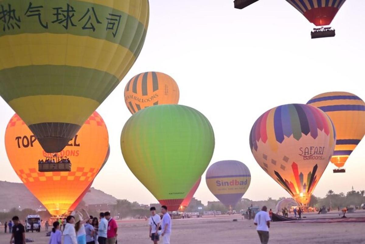 un gruppo di mongolfiere in un campo
