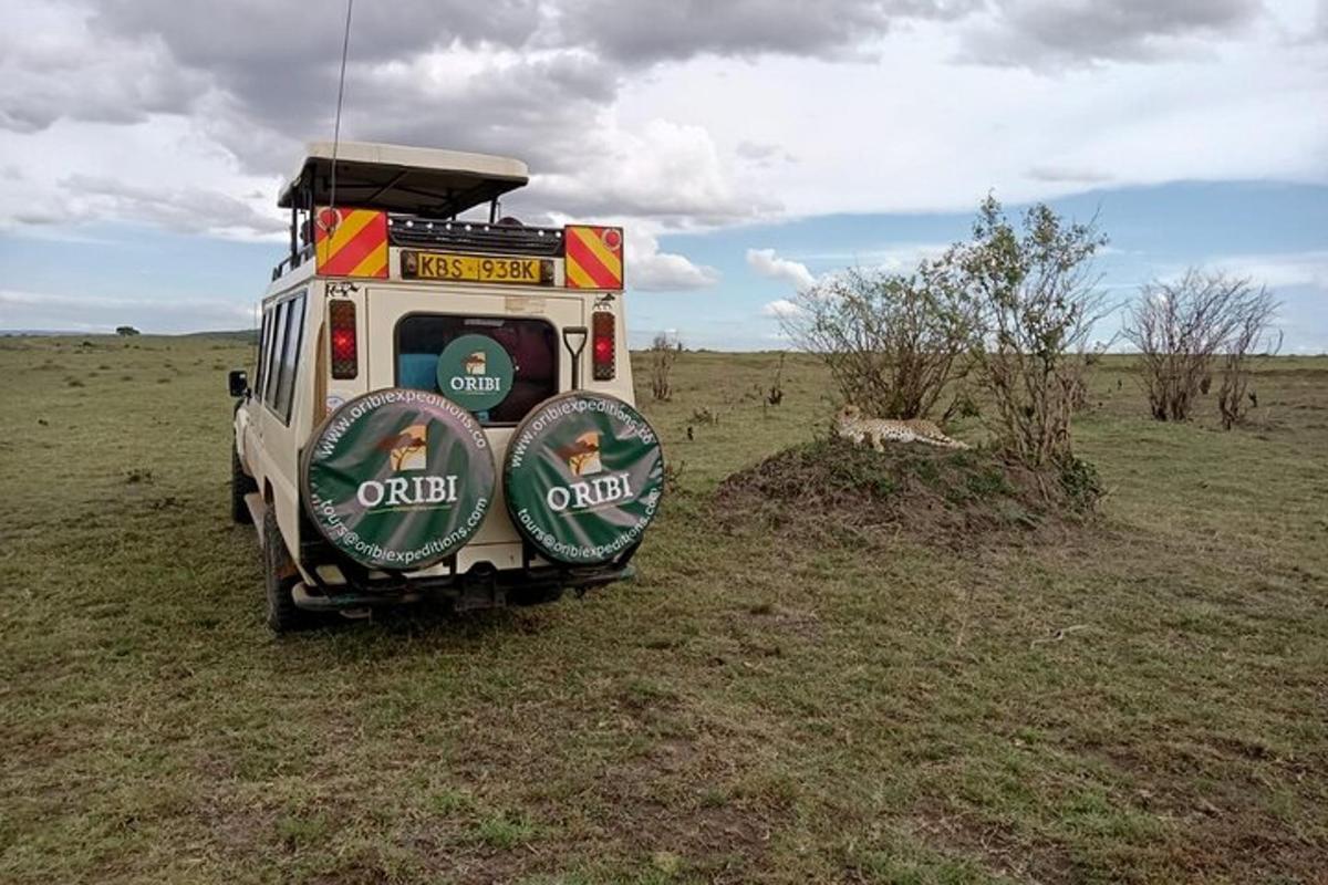 un veicolo parcheggiato in mezzo a un campo