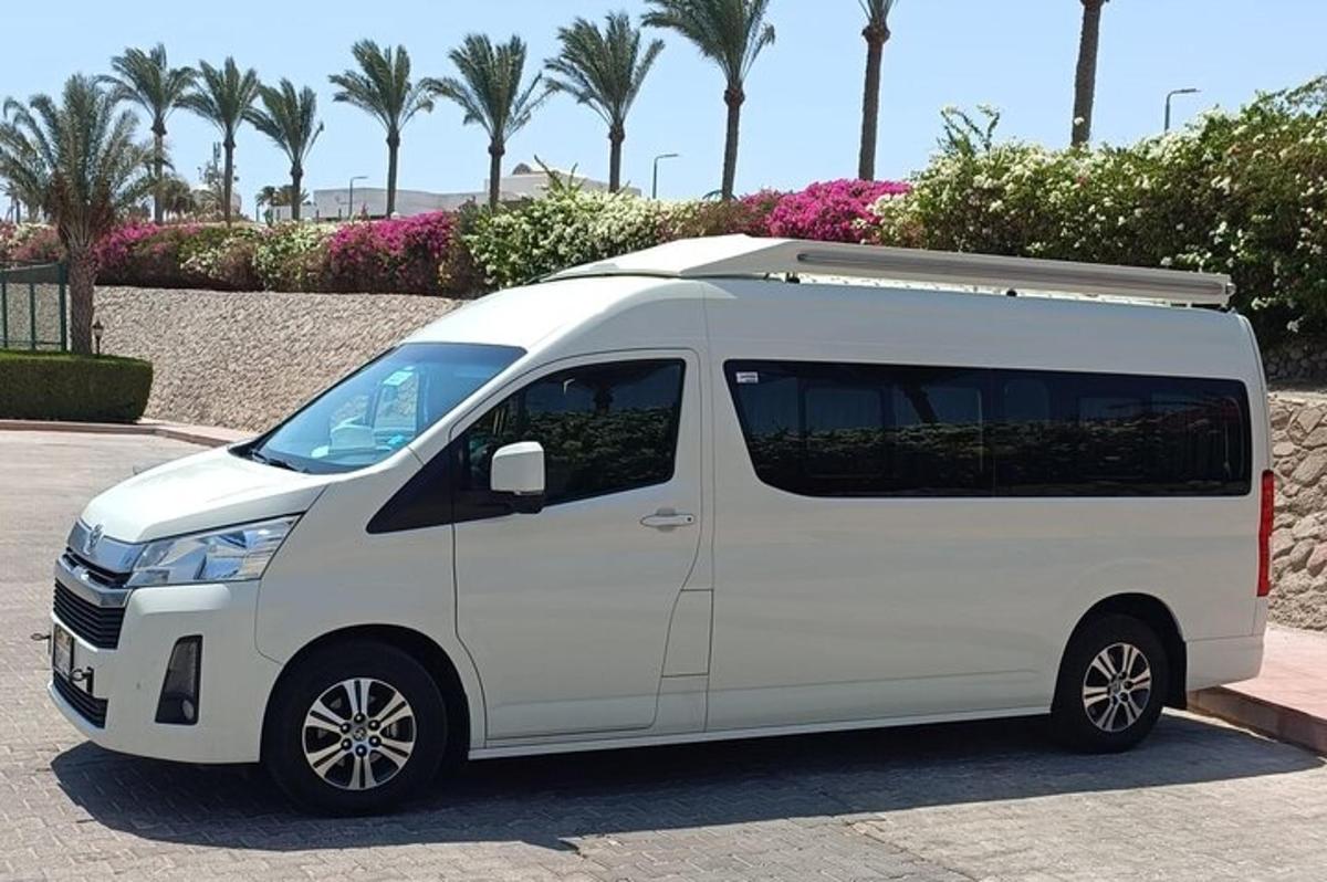 شاحنة بيضاء متوقفة في موقف سيارات مليء بأشجار النخيل