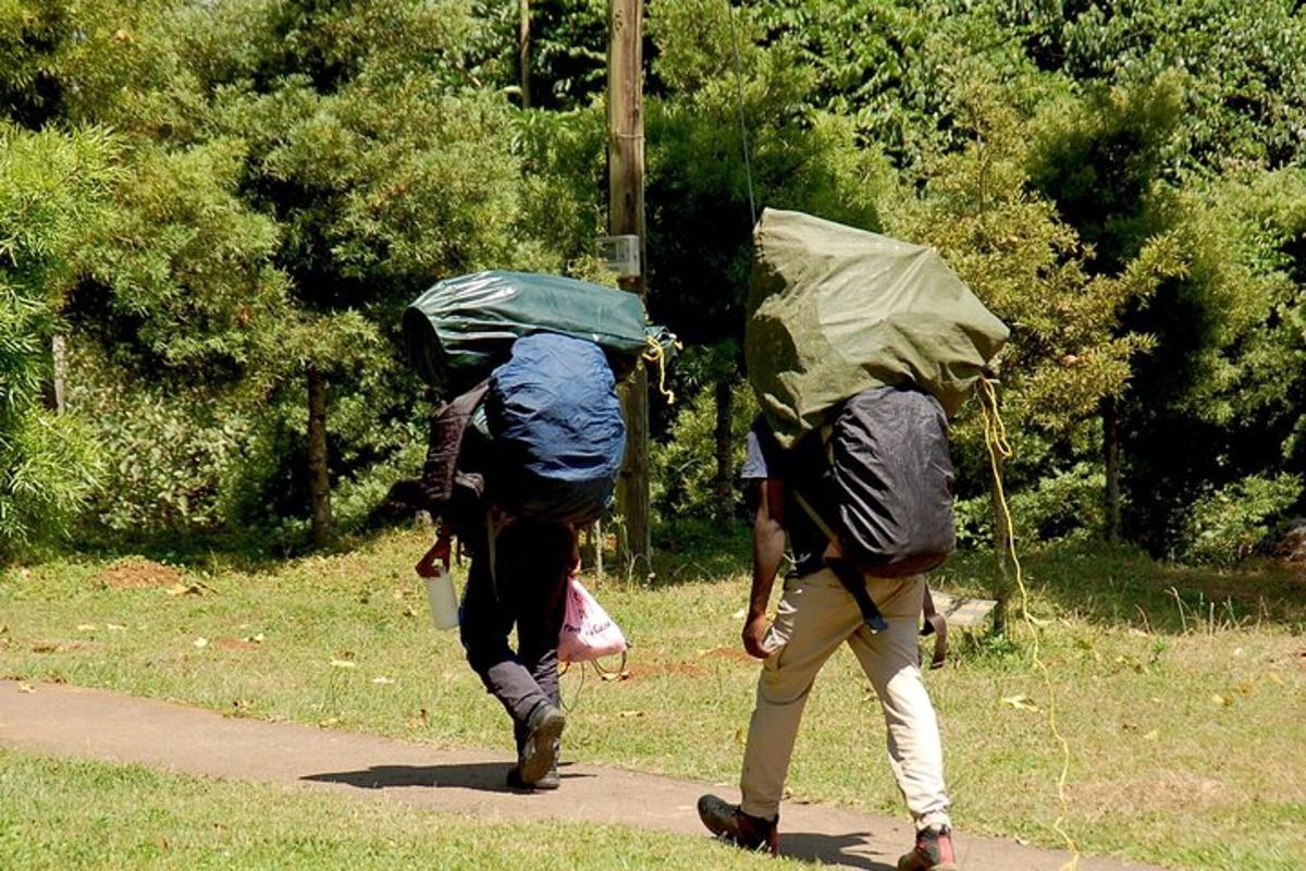 dvaja ľudia kráčajúci po ceste s dáždnikmi